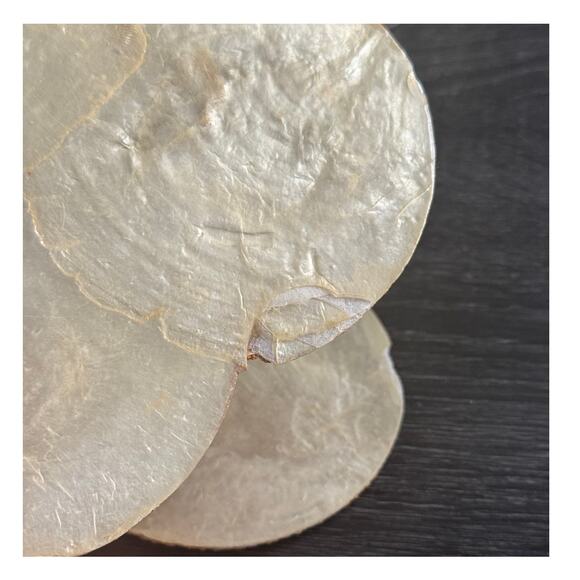 Kane Kutlery Genuine Shell Craft‎ 6 Shell Coasters Made In Philippines Cork Back - Picture 9 of 11